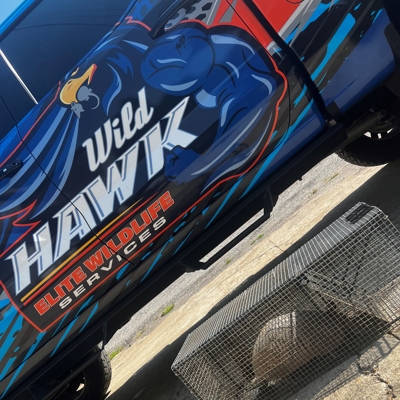 WildHawk Elite Team and Work