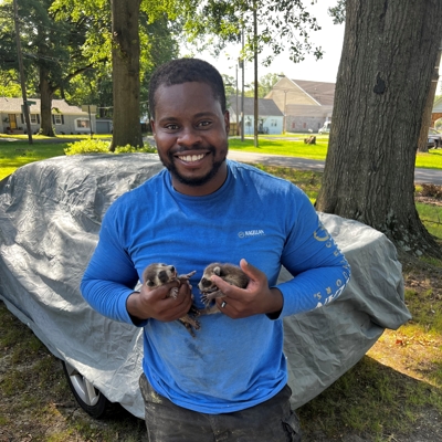 WildHawk Elite Team and Work