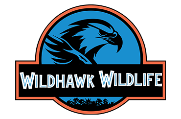 WildHawk Elite Wildlife Services