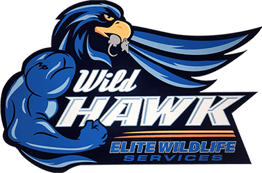 WildHawk Elite Wildlife Services